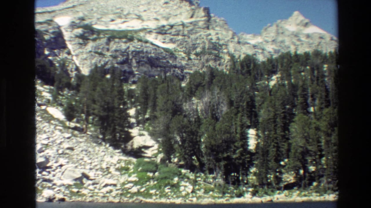Pine forest and rocky mountain slope below snow-capped peaks under blue sky.