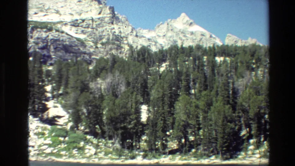 1980 Grand Teton frame with a dense pine stand, rocky ground, and jagged snow-capped peaks seen through an 8mm film scan.