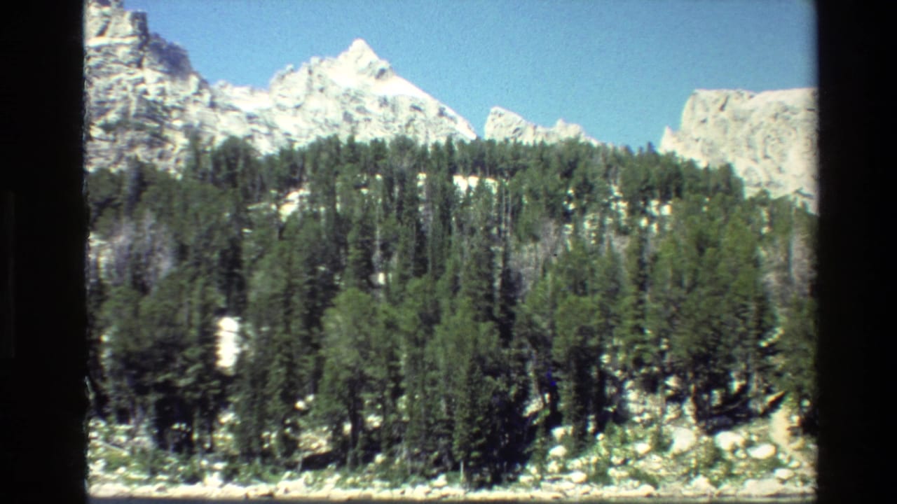 Evergreen trees fill the foreground with snowy mountain peaks in the distance.