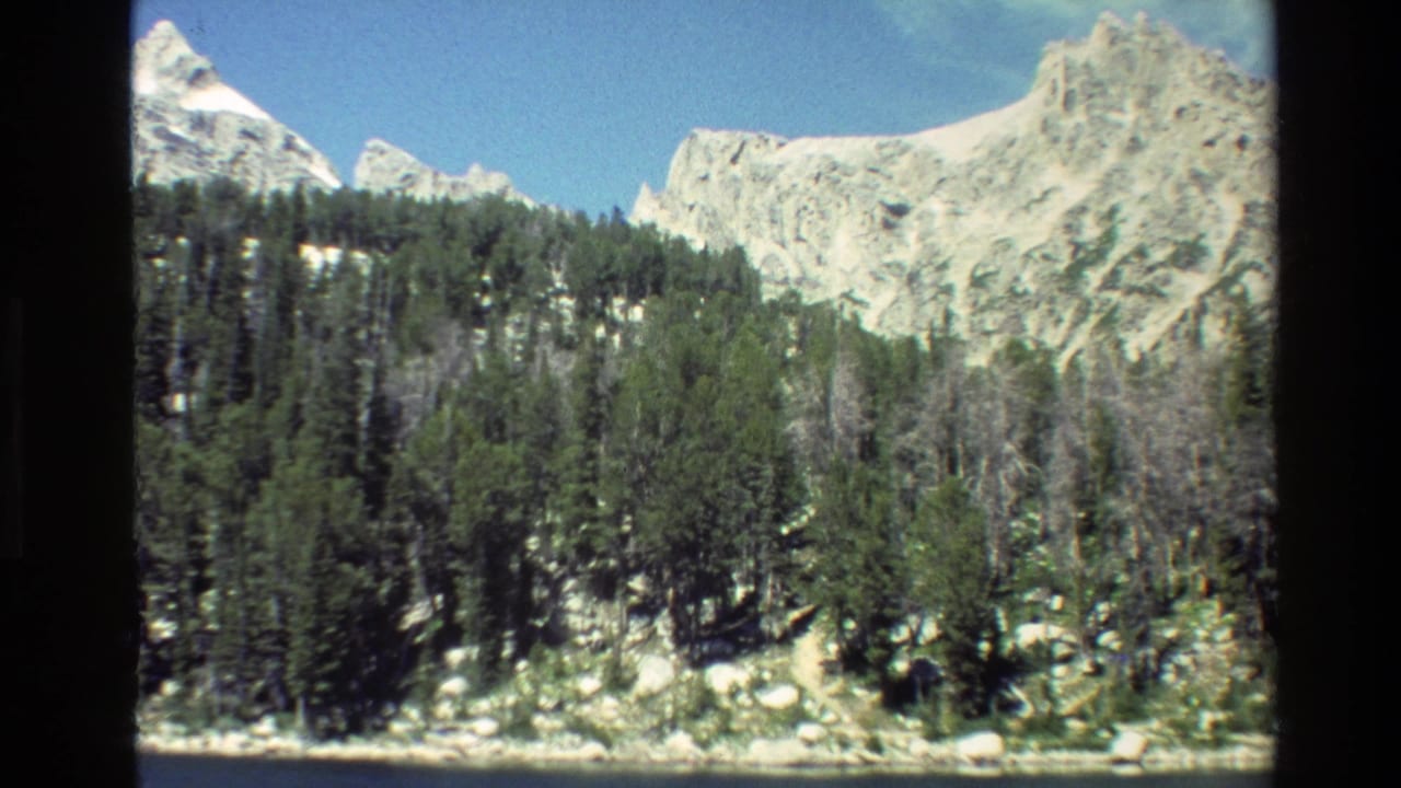 Mountain ridge and dense pine trees fill the frame above a pale rocky shore.