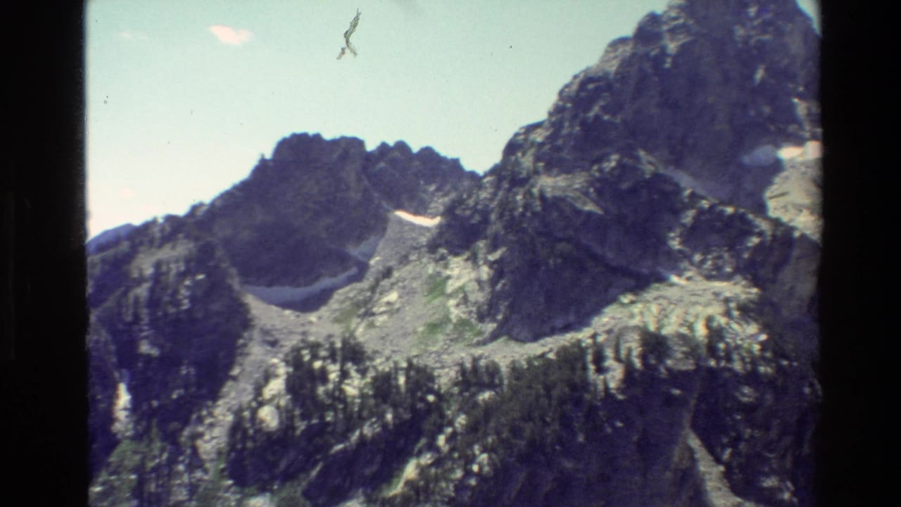Grand Teton mountain ridges appear in a soft 8mm frame with snow patches, forested slopes, and pale blue sky.
