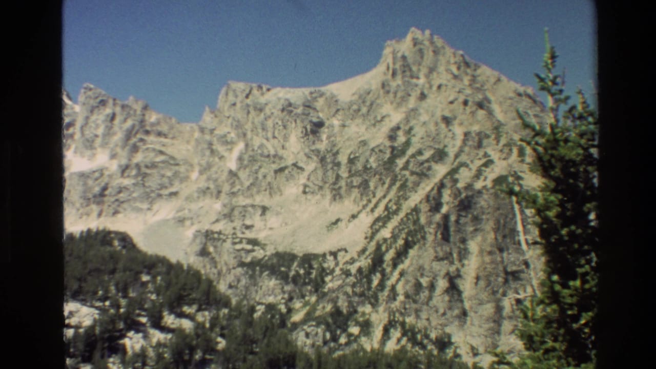 Rugged snowy mountain ridge with a tall evergreen tree near the right edge.