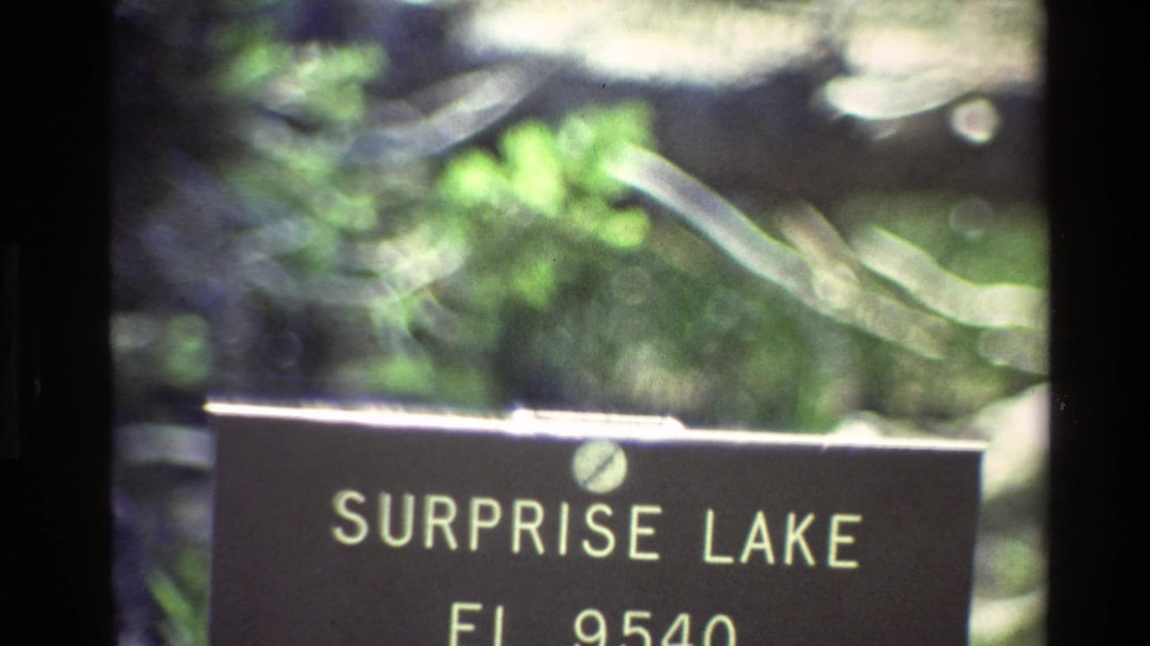 Close view of a black Surprise Lake sign with green forest behind it.