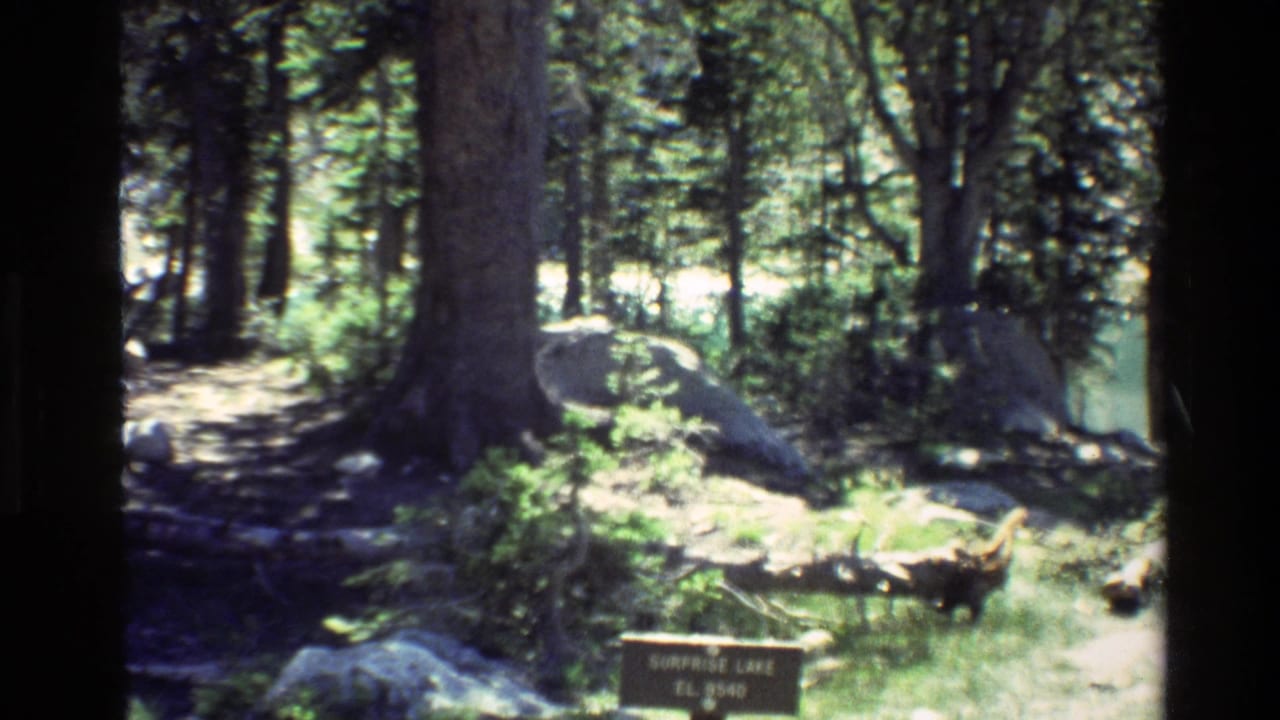 Grand Teton trail scene with trees, boulders, undergrowth, and a partially visible Surprise Lake elevation sign.