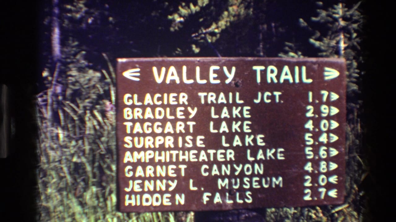 Brown Valley Trail sign with white destination names and distances, surrounded by green foliage.