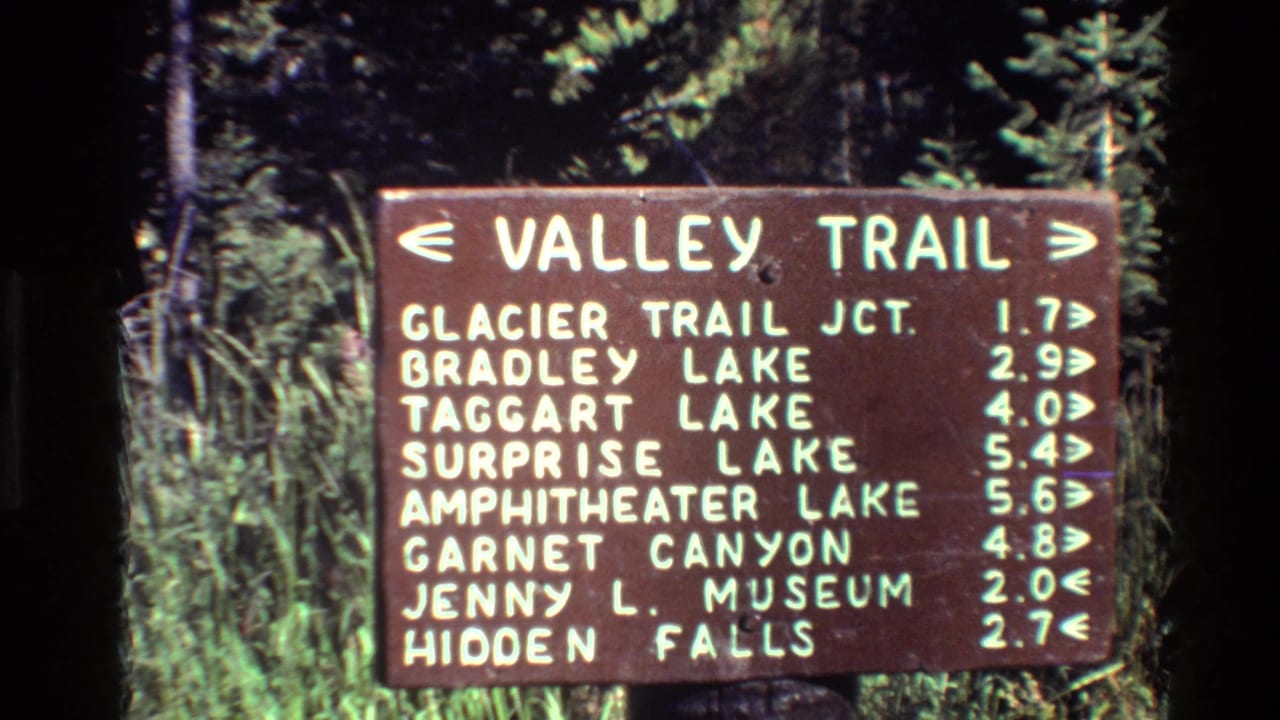Valley Trail sign with destination distances, framed by trees and foliage.