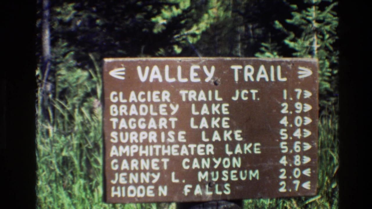 Brown Valley Trail sign with white mileage listings in forest grass.