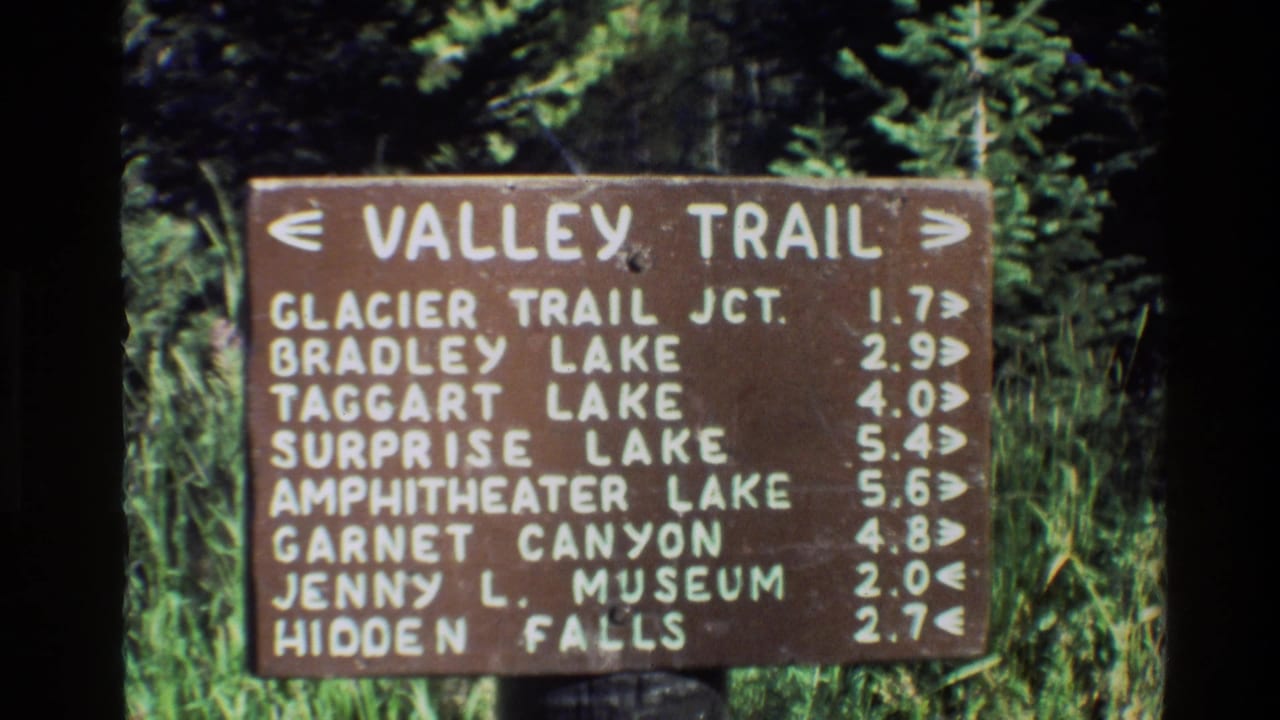 Valley Trail sign centered against green forest foliage.