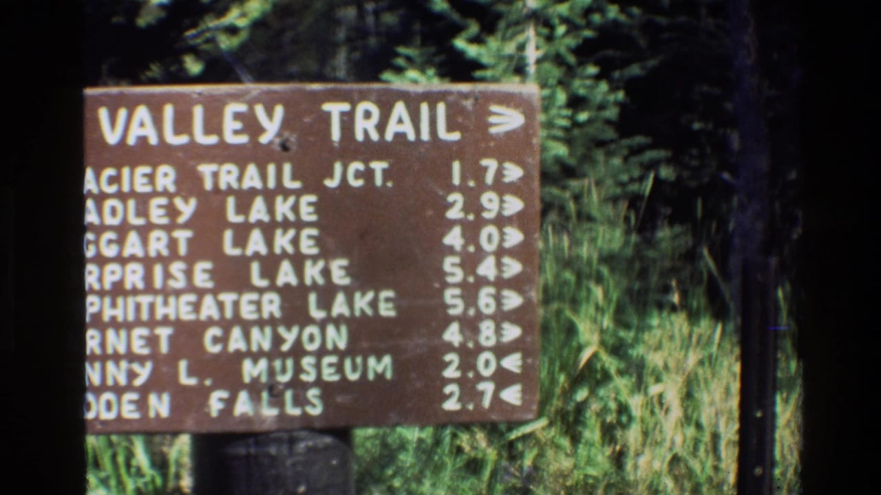 Wooden Valley Trail sign with white mileage text beside forest grass.