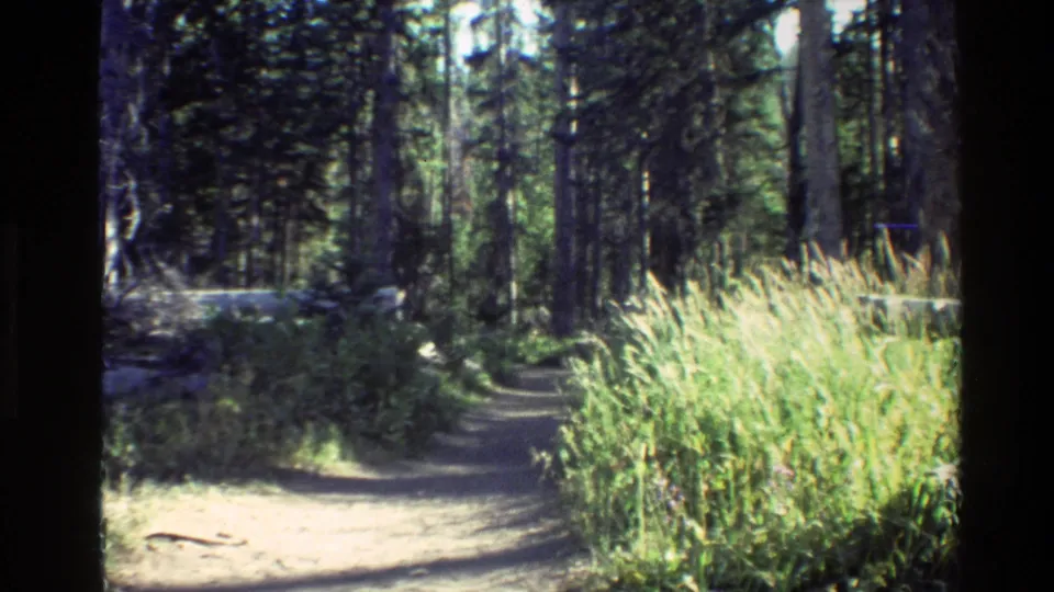 1980 8mm Grand Teton footage showing a shaded forest trail bordered by tall trees and bright summer grasses.