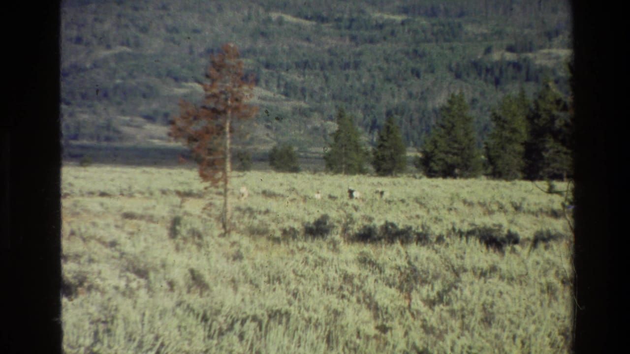 Similar meadow view with a reddish tree, evergreens, distant hills, and small animals.