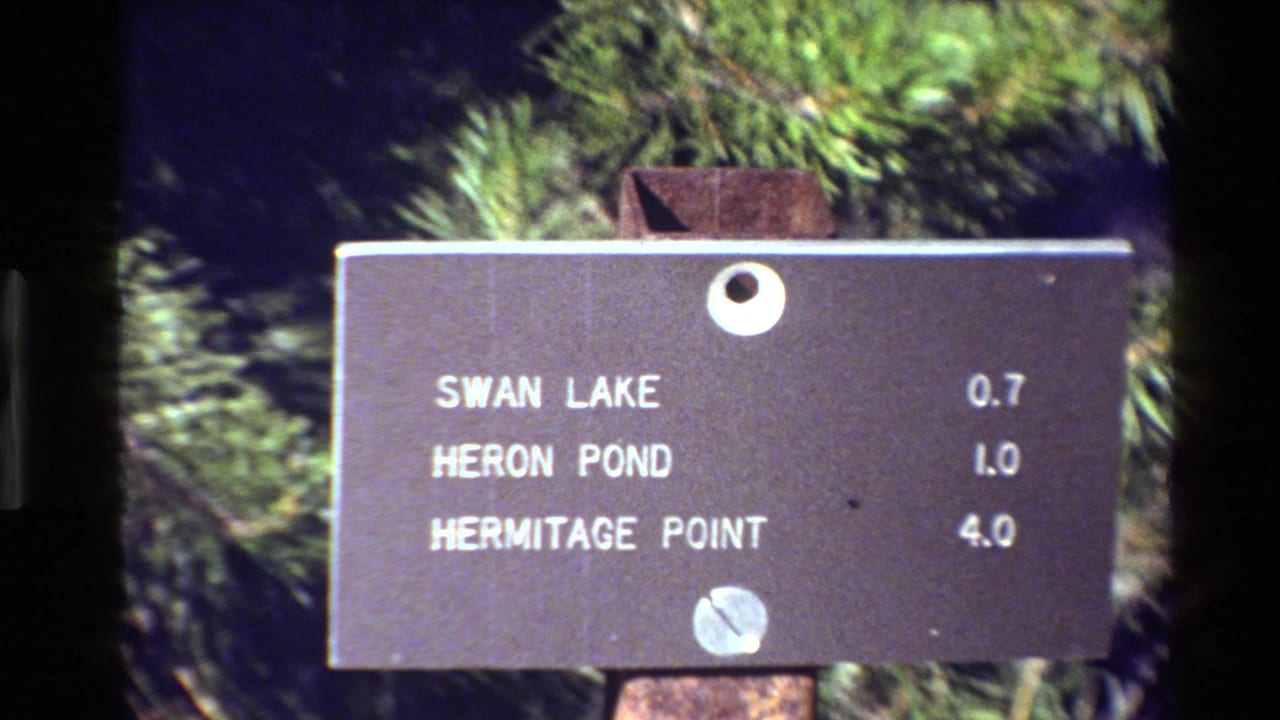 Brown outdoor sign lists Swan Lake, Heron Pond, and Hermitage Point with distances.