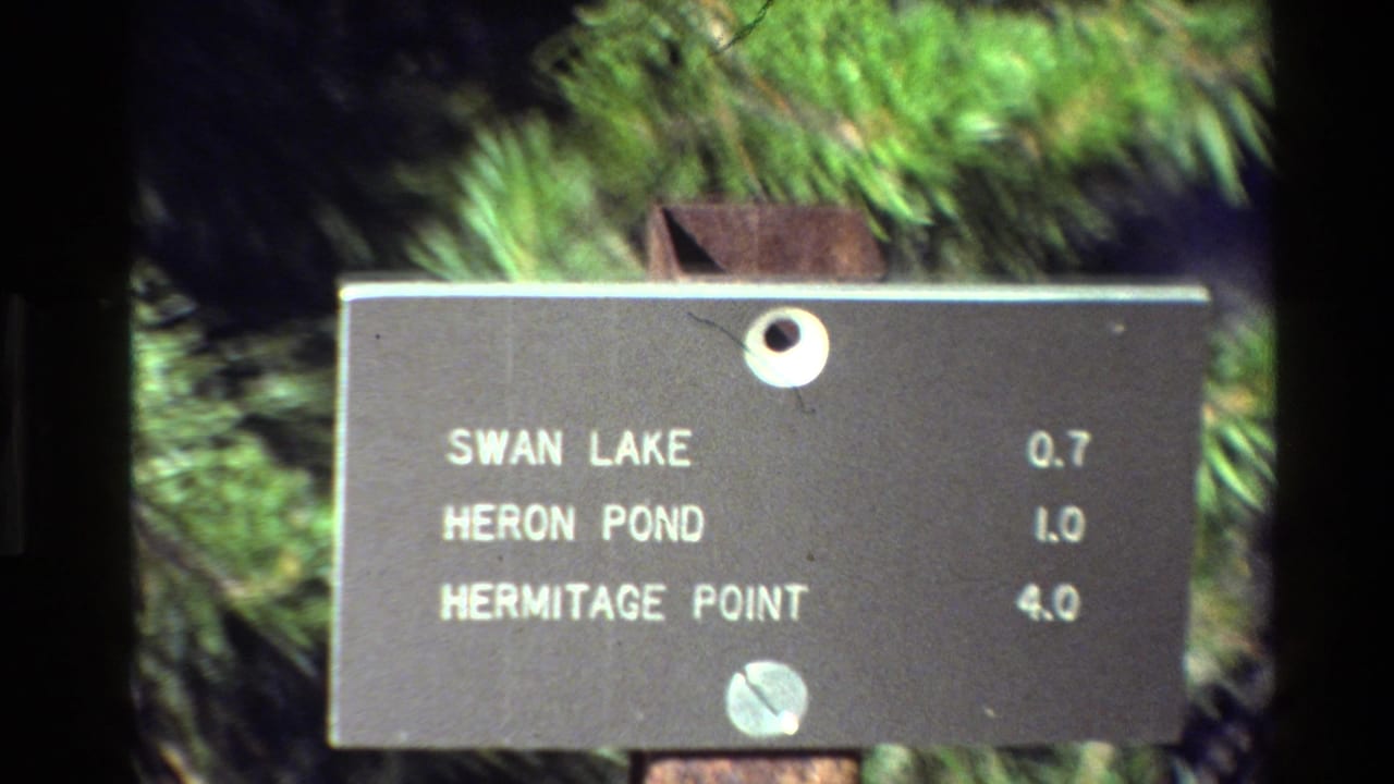 Brown Grand Teton-area trail sign remains centered, with white place names and distances visible against green pine branches.