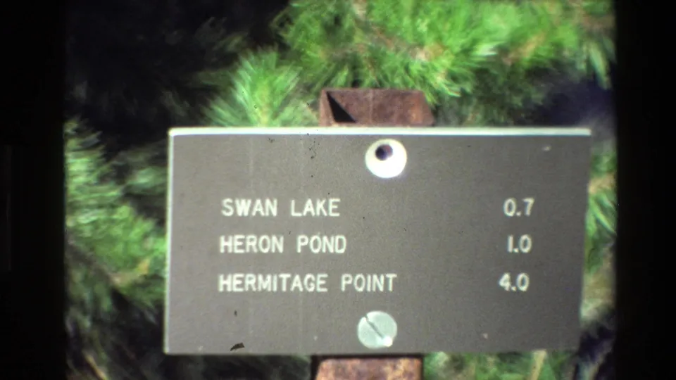 Soft 8mm frame of the Grand Teton trail sign, slightly shifted lower, showing white lettering, distances, post, and pine background.