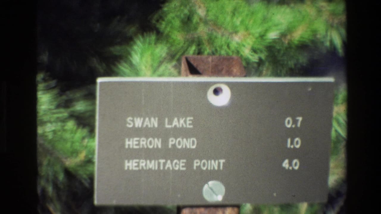 1980 Grand Teton home-movie frame showing a weathered metal sign for Swan Lake, Heron Pond, and Hermitage Point among green pine branches.