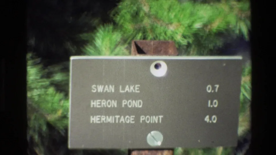1980 Grand Teton home-movie frame showing a weathered metal sign for Swan Lake, Heron Pond, and Hermitage Point among green pine branches.