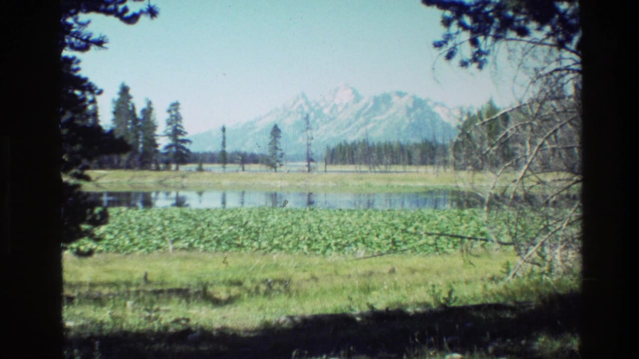 Pond with lily pads, forested shore, and snow-capped Teton peaks beyond.