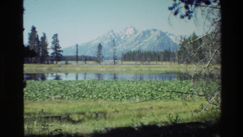 1980 Grand Teton frame showing a broad wetland pond, lily pads, meadow grass, scattered trees, and distant snowy mountain peaks.