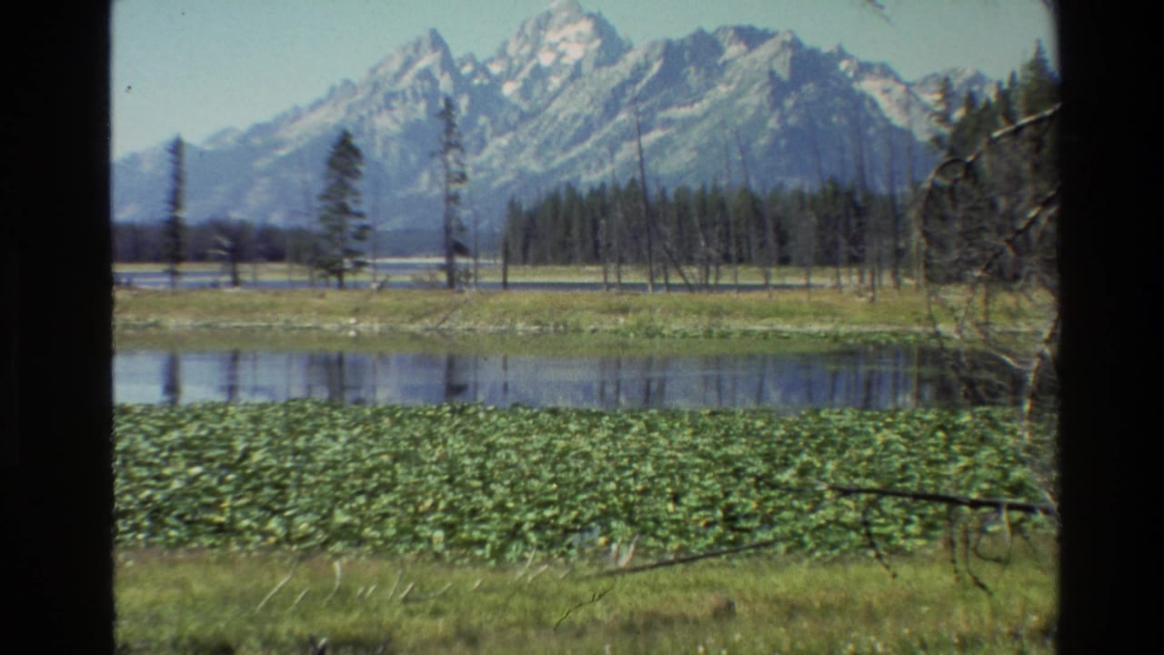 1980 Grand Teton, Wyoming 8mm frame showing lily pads, reflective lake water, shoreline trees, and snow-capped mountains in the distance.