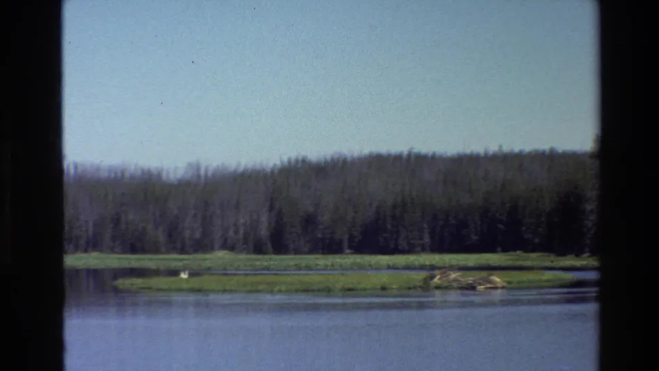 Grand Teton home-movie frame from 1980 showing quiet lake water, forest, and a small white bird on a grassy bank.