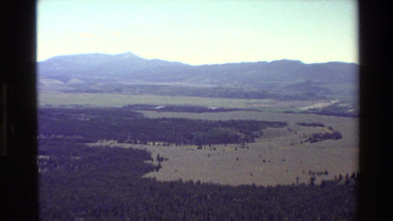 Open valley and forest bands below a long mountain ridge under pale sky.
