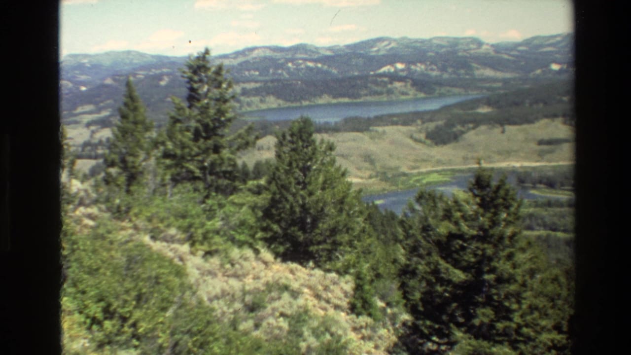 1980 8mm Grand Teton home-movie frame with evergreens in the foreground and a broad valley, water, and mountain ridges beyond.