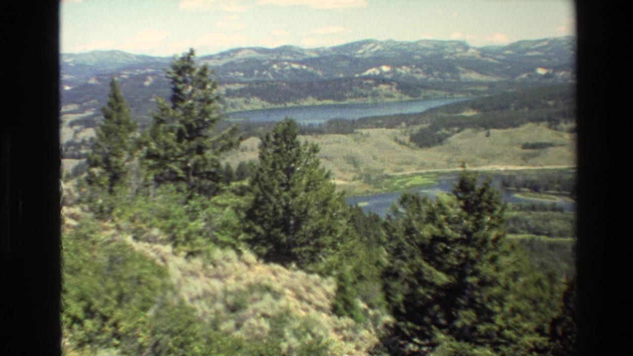 Forested hillside and shrubs overlook a lake or river valley with mountains in the distance.