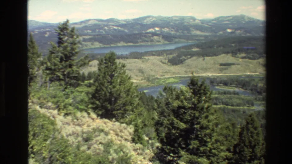 1980 Grand Teton 8mm frame with tall foreground evergreens, pale hillside vegetation, winding water, and distant mountains.