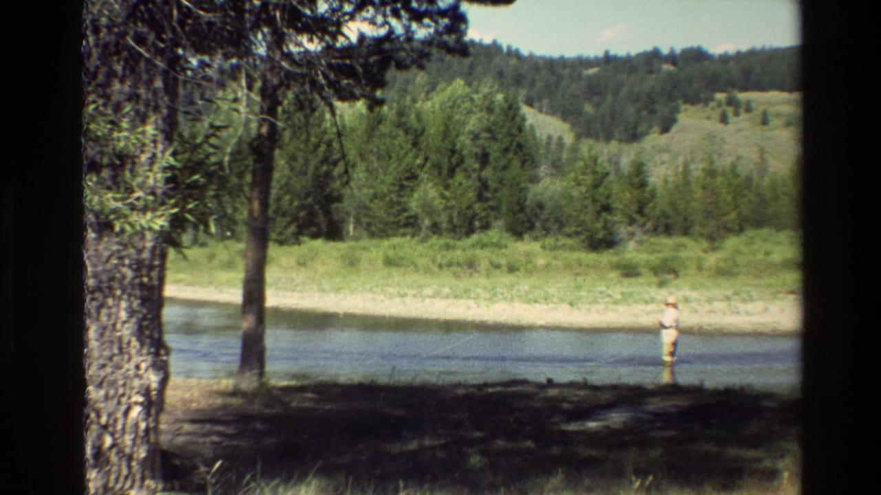 Distant fisherman stands in the water beyond a foreground tree trunk and shaded riverbank.