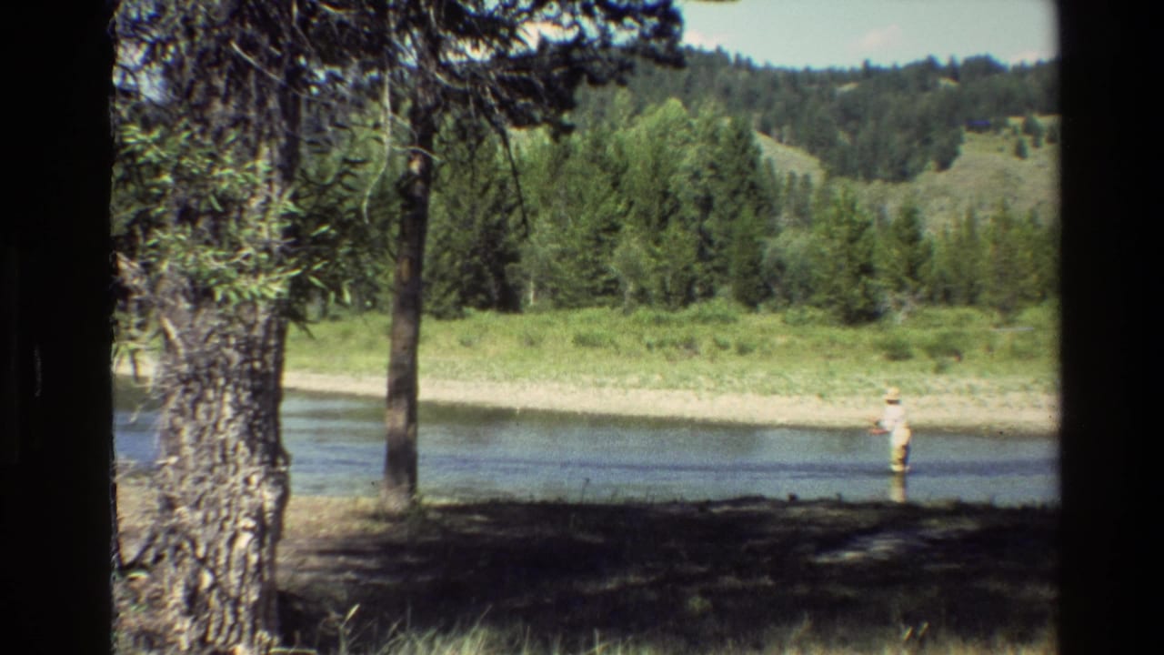 1980 Grand Teton home-movie frame with a distant fly fisherman in clear water, framed by pine trunks, forest, grassy bank, and hills.