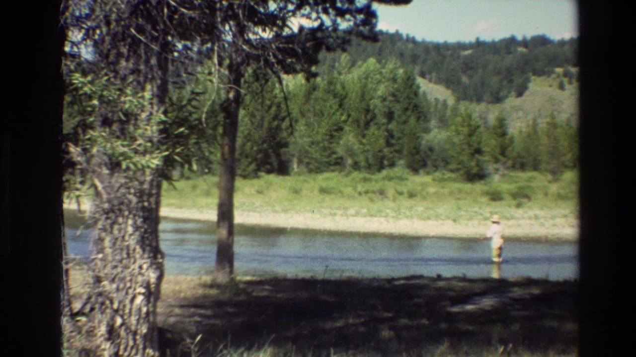 Distant fisherman in shallow water with two tree trunks, forest, and hills behind him.
