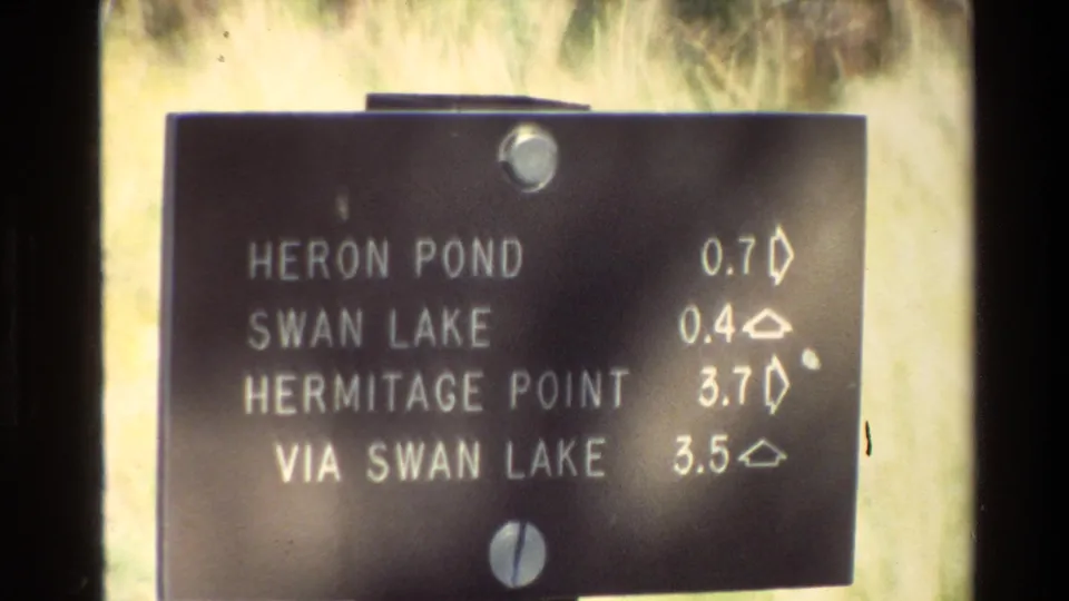 Soft 8mm close-up of a Grand Teton trail sign showing distances for Heron Pond, Swan Lake, Hermitage Point, and a Swan Lake route.