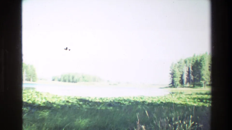 1980 Grand Teton home-movie frame showing Swan Lake or nearby water with grasses, evergreen trees, bright sky, and a dark border at the edge.