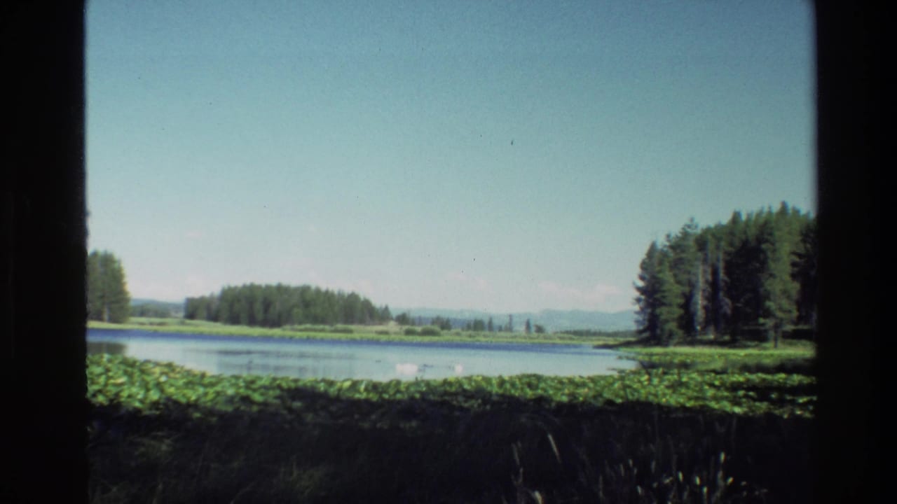 1980 8mm Grand Teton lake view through a window frame, with shoreline plants, conifers, distant ridges, and pale sky.