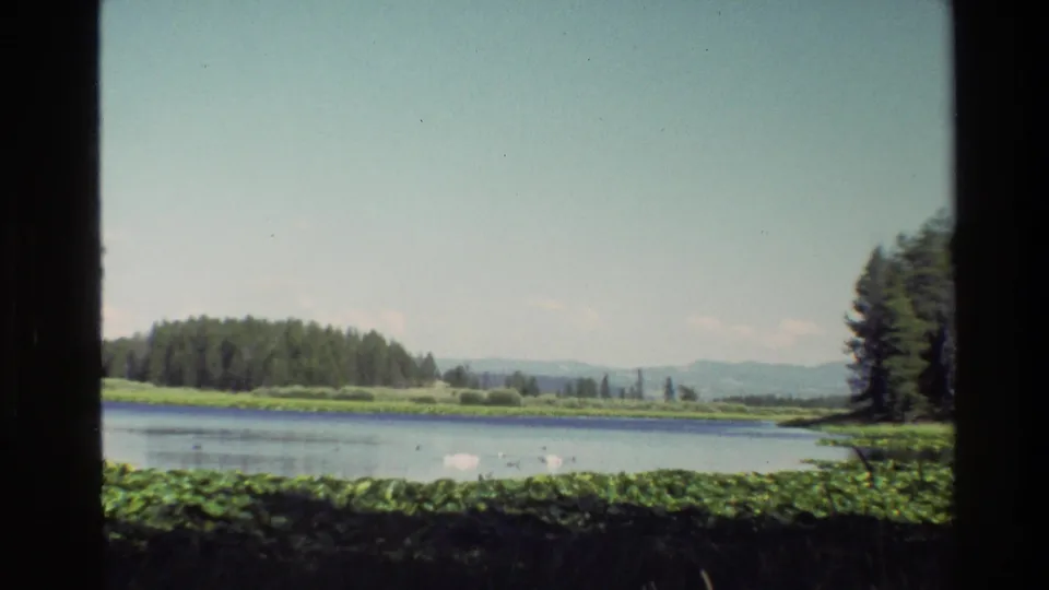 Grand Teton lake landscape in 1980 home-movie footage, with low water, bright green shore plants, conifers, and hazy mountains.