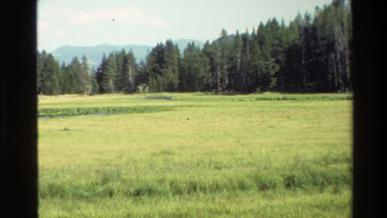 1980 Grand Teton-area 8mm frame showing a broad meadow, evergreen forest, and hazy mountain ridges beyond.