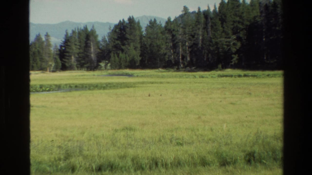 Meadow and evergreen forest with distant mountain ridges and dark vertical film-frame edge.