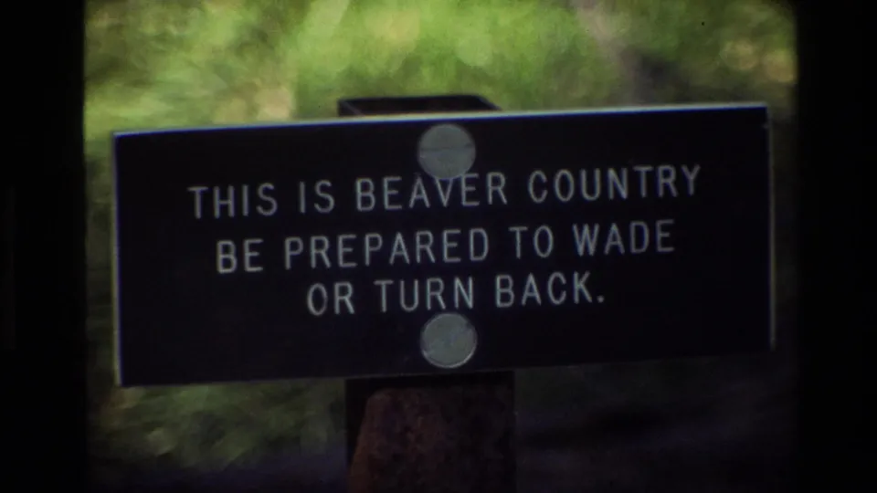 A park-style sign in Grand Teton reads, "THIS IS BEAVER COUNTRY BE PREPARED TO WADE OR TURN BACK," surrounded by soft green foliage.