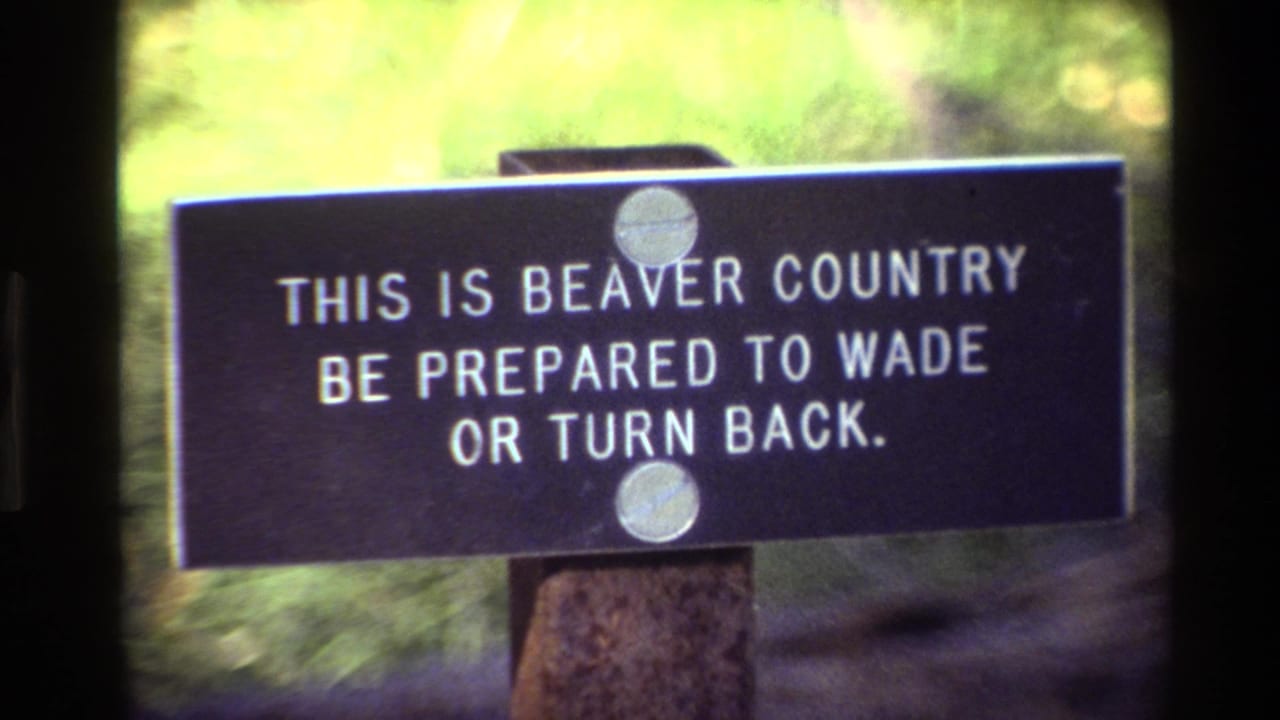 Beaver country warning sign centered with blurred greenery behind it.
