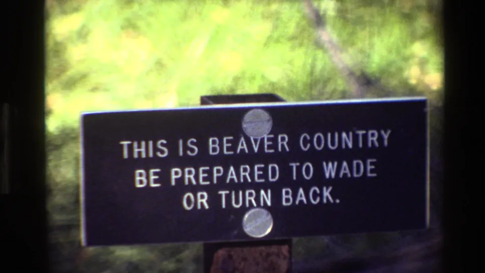 8mm frame from Grand Teton showing the beaver country warning sign shifted lower in the frame during the moving shot.