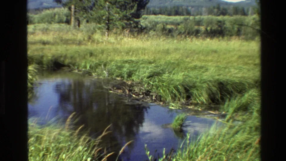 1980 Grand Teton, Wyoming frame with a marsh water channel, green banks, evergreen trees, and mountain slopes in the distance.
