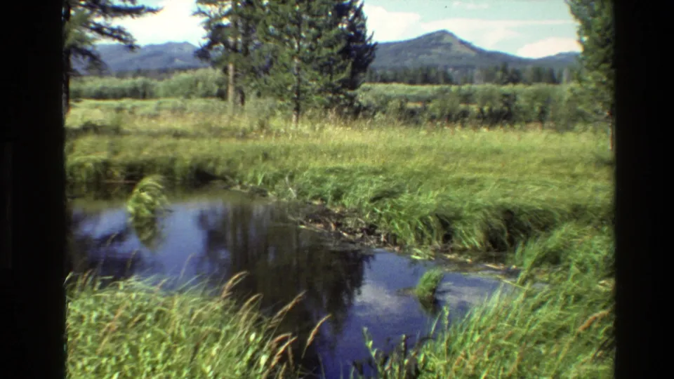 1980 Grand Teton, Wyoming home-movie view of reflective marsh water, tall grasses, evergreen trees, and a distant mountain ridge.