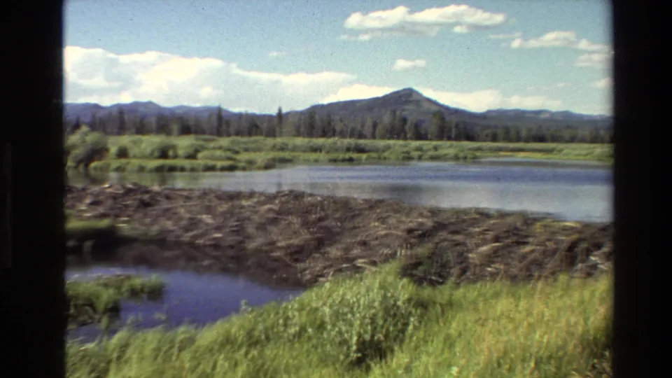 1980 Grand Teton, Wyoming 8mm frame showing a wide lakeshore, beaver dam, green foreground grass, forest, and mountain backdrop.