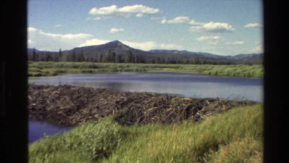 1980 Grand Teton-area 8mm frame showing a beaver dam across calm water, with grasses, forest, distant mountains, and scattered clouds.