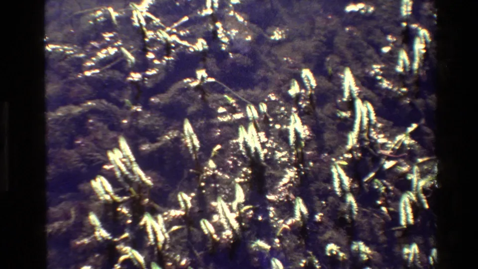 1980 Grand Teton 8mm frame focused on rippled river water, with bright reflected highlights and dark submerged shapes.