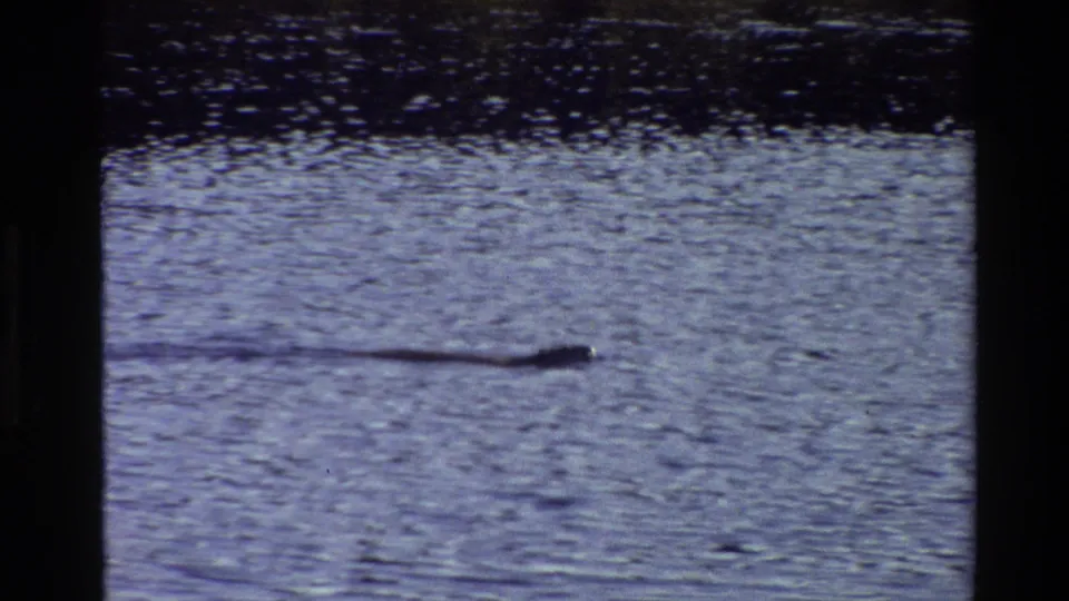Near the end of the 1980 Grand Teton clip, the dark aquatic shape remains visible against textured water and a shadowed upper band.