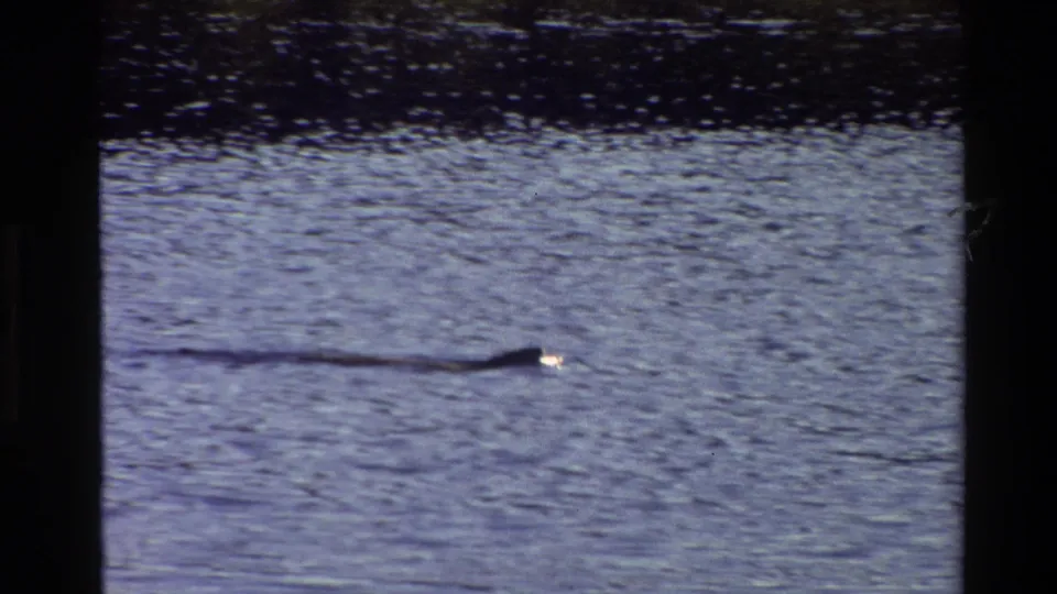 Grand Teton 1980 home-movie frame showing a dark elongated form or wake moving across rippled lake water.