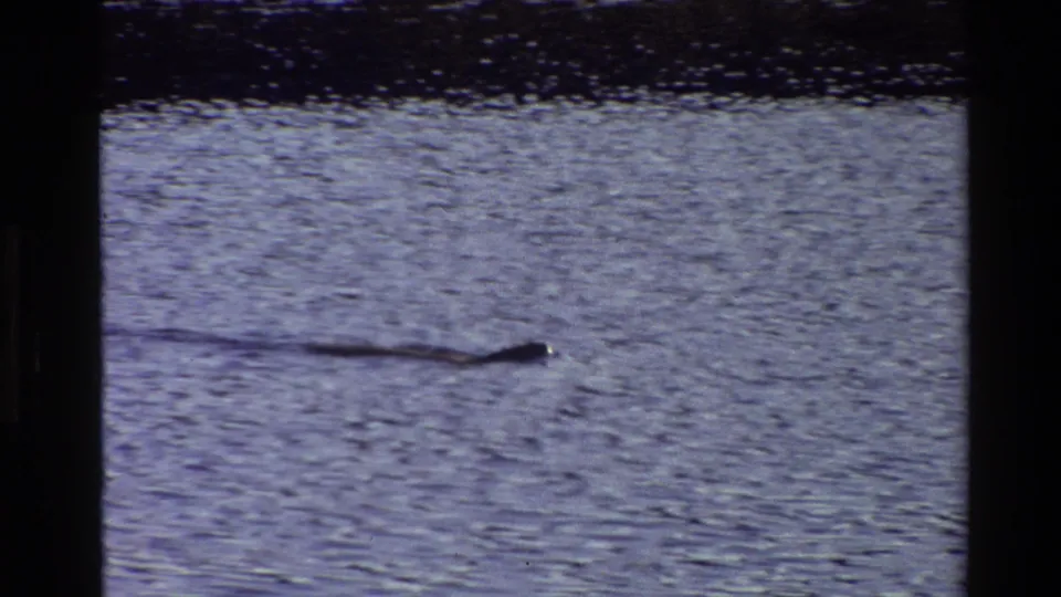 Grand Teton 1980 frame with a long dark form or wake seen against rippled lake water in soft focus.