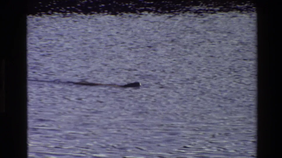 Grand Teton 1980 8mm frame showing a dark wake-like line crossing textured water under grainy exposure.