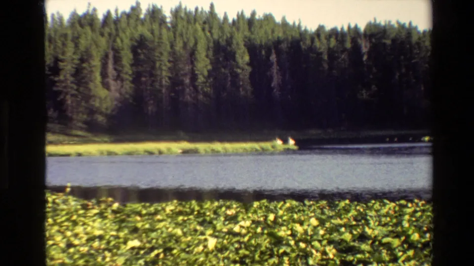Wider 1980 Grand Teton lake view with lily pads in the foreground, evergreen forest behind, and deer small on the far shoreline.